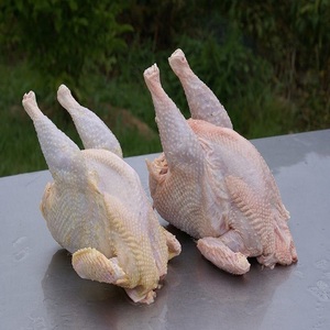 Suministro al por mayor de pollo congelado para minoristas con cortes de calidad, embalaje seguro, larga duración en almacenamiento y excelente valor de mercado - Product Image 4