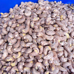 Noix de cajou biologiques en gros directement de l'usine, A180, A210, prix d'importation des noix de cajou du Vietnam avec emballage personnalisé - Product Image 1
