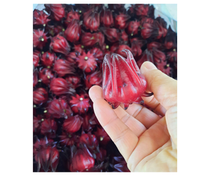 Pétalos de Roselle Secos Naturales de Origen Vietnamita - Ingrediente Botánico para Pedidos al por Mayor, Hibisco Seco para Exportación, Gran Descuento - Product Image 3