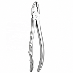 Forceps d'extraction universels à pointes crantées supérieures en acier inoxydable, forceps d'extraction dentaire, instruments chirurgicaux dentaires CE ISO - Product Image 5