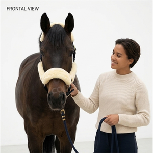 Harnais de cheval en nylon rembourré doux et réglable avec logo personnalisé, design élégant, pour la course d'endurance, avec boucles confortables en alliage de zinc - Product Image 6