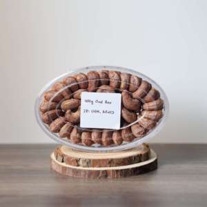 Anacardos Tostados y Secos Orgánicos W320 con Certificación ISO de Vietnam en Caja de 400g - Venta al por Mayor OEM, Sabor Único a Mantequilla y Sal, Personalización Disponible - Product Image 4