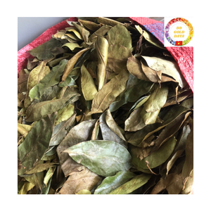 วัตถุดิบชาสมุนไพร |   ใบชื่นชมพู่ออร์แกนิก ขายส่งจำนวนมาก รับผลิตแบบ OEM เวียดนาม - Product Image 2