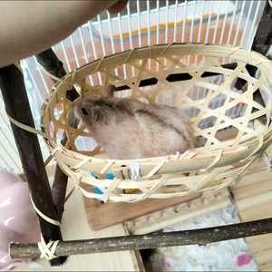 ตะกร้าไม้ไผ่สานมือ ที่หลบซ่อนสำหรับสัตว์เลี้ยงขนาดเล็ก รังนก รังแฮมสเตอร์ กล่องเก็บของธรรมชาติ เป็นมิตรกับสิ่งแวดล้อม ของเล่นในกรง  ผู้จำหน่าย - Product Image 2