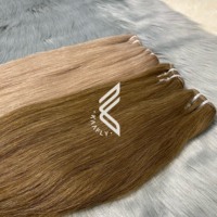 Paquets de cheveux vietnamiens bruts à double trame, brun clair et moyen pour femmes afro, prix de gros
