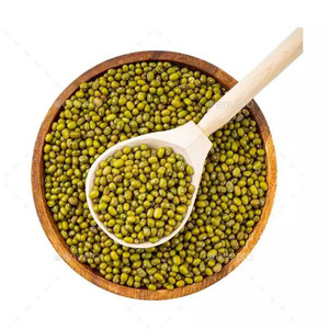 Frijoles mung verdes aptos para germinar, moler en harina y cocinar, suministro a granel para exportación - Product Image 6