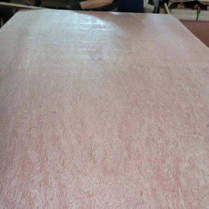 Contrachapado de madera noble comercial con chapa de Bintangor de primera calidad, tamaño 1220*2440mm, 1250*2500, 12-18mm - Product Image 1