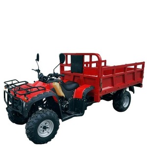 Vehículo Todoterreno Agrícola de 250cc, 4 Tiempos, Transmisión por Eje, Manual, 2WD, con Caja de Carga Hidráulica, Tipo Buggy UTV - Product Image 1