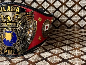 Ceinture de championnat PWF ALL ASIA MMA - Légère, en alliage de zinc, unisexe - Product Image 4