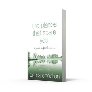 Les endroits qui vous effrayent de Pema Chodron, livre anglais en édition brochée, livre sur la croissance personnelle, la méditation et la découverte de soi - Product Image 4