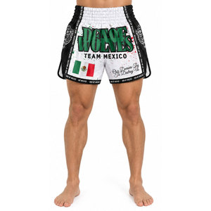 Lightweight Team Usa MMA Fight <b>Shorts</b> <b>Men</b> White <b>Red</b> Black Sublimation Print Mixed Martial Arts Wear Adult Breathable Regular Fit - Product Image 2