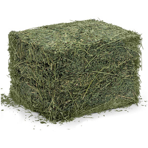 Top-quality Grade a Alfalfa Hay in Bales and Pellets with Moisture 2% and 2 Year Shelf Life for Horse and Cattle Feed - Product Image 1