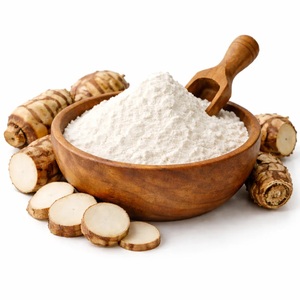 VIETNAM ARROWROOT POWDER 100% NATURAL – PREMIUM QUALITY <b>STARCH</b> WHOLESALE SUPPLIER - Product Image 1
