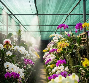 Orchid Net Green Shade Net <b>Plastic</b> <b>Mesh</b> Screen Sun Block Ventilation Net for Greenhouse - Product Image 2