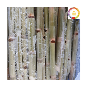 Palitos de Caña de Azúcar Congelados IQF |   Caña de Azúcar 100% Natural Fresca para Jugos, Uso en Bares y Playas, Proveedor de Exportación a Granel - Product Image 2