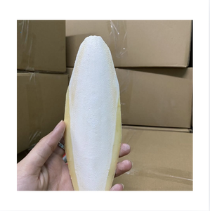 Os de Seiche Séché de Qualité Supérieure 99GD, 1ère Qualité, 40cm+, Faible Teneur en Matières Grasses, Protéines Marines pour Animaux, Suppléments de Calcium, Sac - Product Image 1