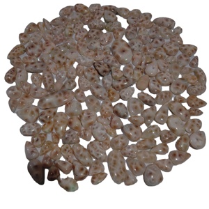 Cabochons de Larimar Thomsonite rose certifiés 100% naturels, tailles assorties, dos plat, pierres précieuses pour la fabrication de bijoux, vente en gros - Product Image 3