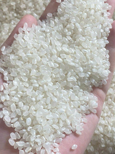 Riz blanc à grains courts séché, texture moelleuse, haute qualité pour usage en restauration, marque IIglobal, vente en gros en vrac - Product Image 6