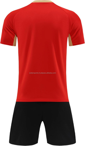 Camiseta de Entrenamiento de Fútbol Unisex para Adultos, 100% Poliéster, 220g, Transpirable, de Secado Rápido, Cuello Redondo, Manga Corta, Estampado por Transferencia de Calor, Personalizada - Product Image 6