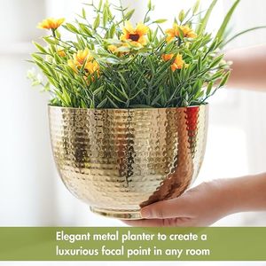 Maceta Moderna de Latón Chapado en Oro con Patrón Circular para Plantas de Interior, Estilo Glamuroso - Product Image 6