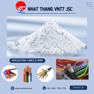 Poudre de carbonate de calcium (GCC) enduite de 1250 mesh, directement de l'usine, pour la production de masterbatch de remplissage PE PP - Product Image 2