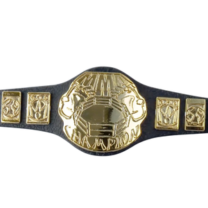 Ceinture de champion Internet personnalisée plaquée or – Récompense sportive de haute qualité pour le lutteur, titre personnalisé - Product Image 2