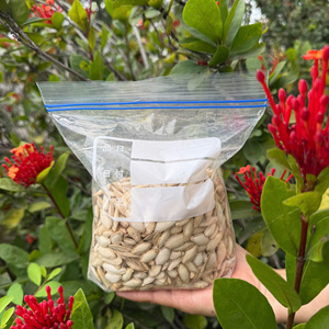 Bolsas de Plástico Resistentes para Alimentos, Aptas para Microondas y Congelador, a Prueba de Fugas, de 45-70 micras de Grosor, Diseñadas para Almacenamiento a Largo Plazo de Carne y Mariscos - Product Image 2