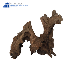 Décoration d'aquarium en bois flotté naturel Thanh Tung Thinh, forme irrégulière, écologique, bois pour aquarium en provenance du Vietnam - Product Image 3
