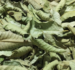 ใบฝรั่งอบแห้งคุณภาพพรีเมียม สำหรับการชงเครื่องดื่มรสชาติเข้มข้น ผลิตจากแหล่งกำเนิดในเวียดนาม เหมาะสำหรับการใช้งานทางอาหารหลากหลายรูปแบบ - Product Image 6