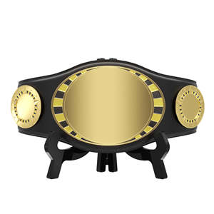 Cinturón de Lucha Libre de Acero Inoxidable de Alta Calidad, Ecológico, Diseño Personalizado, Artes Marciales Mixtas, Unisex, de Fábrica - Product Image 1