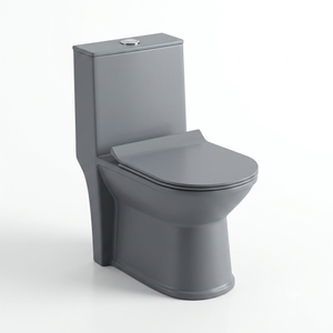 Inodoro Moderno de Una Pieza con Acabado Mate en Gris Cemento, Alargado, de Cerámica, Montado en el Suelo, con Sifón S/P - Product Image 1