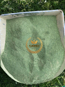 Vietnam Ulva Lactuca polvo verde Laver sostenible algas suplemento de alimentación potenciador del suelo polvo de algas secas para fertilizante - Product Image 4