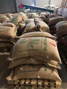 Mejor Precio, Granos de Café Verde Vietnamita, Robusta y Arábica, S14 S16 S18, Limpios, Venta al por Mayor, Bolsa de 60 kg, ODM/OEM - Product Image 4