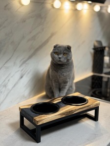 Ensemble de bols pour animaux de compagnie avec support, en bois poli écologique, fabriqué à la main en Europe, vaisselle décorative pour mariage et service à domicile - Product Image 2