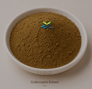 Hgo สารสกัดจาก Codonopsis ธรรมชาติบริสุทธิ์ (เกรดอาหาร) ข้อมูลจำเพาะ10:1 (สารสกัดอัตราส่วน) - Product Image 1
