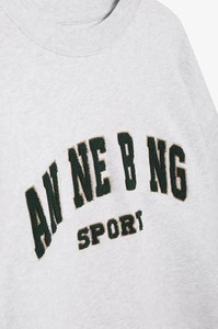 Hot Sale Women's Winter Autumn Oversized 100% Cotton Woven Hip Hop Sweatshirts Pullover Embroidery Letter Custom Logo Hooded - Product Image 2