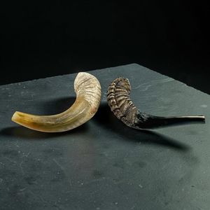 Shofar en corne de bélier, matériau organique écologique, poli à la main, décoration d'intérieur, artisanat Hs Husnain fabriqué en Inde - Product Image 1