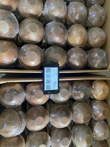 Assiettes en feuilles de palmier jetables, très demandées, pour traiteur, événements, fêtes, buffets et service de nourriture au Vietnam - Product Image 3