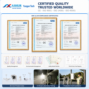 เครื่องวัดปริมาณน้ำฝนแบบเลเซอร์ ASHUR DP900 สำหรับตรวจจับฝน หิมะ ลูกเห็บ พร้อมพอร์ต RS485 มาตรฐาน IP67 เพื่อความปลอดภัยบนท้องถนน - Product Image 4