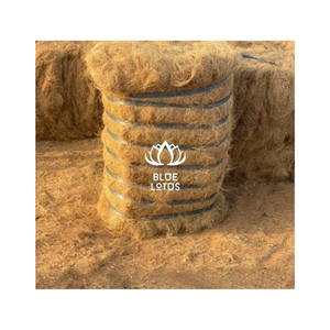 Fibres de coco de qualité supérieure pour matériaux de rembourrage de matelas fiables et fabrication efficace de cordes torsadées – Vente en gros en vrac - Product Image 6