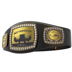 Cinturón de Campeonato al por Mayor, NUEVO Cinturón de Campeonato Mundial de Lucha Libre Ronpex International de Cuero y Latón/Zinc Personalizable - Product Image 6