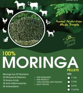 Aliments pour animaux de qualité supérieure, granulés de Moringa, exportés vers tous les pays depuis l'Inde au prix le plus bas - Product Image 2