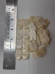 Dientes de Alce Naturales para Joyería Tribal, Accesorios de Artesanía, Cuentas para Manualidades, Moda y Creaciones Decorativas Hechas a Mano - Product Image 3