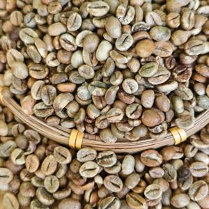 Café Vert Robusta Frais de Ferme du Vietnam en Gros – Grains de Café Non Torréfiés pour l'Exportation - Product Image 4
