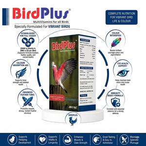 Complément Nutritionnel Multivitaminé et Minéral BirdPlus de Qualité Supérieure, Meilleure Vente, Gouttes à Absorption Rapide, Sûr pour Toutes les Races - Product Image 3