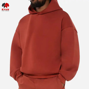 Sweat à capuche pour homme Ryan Pro Gear avec logo personnalisé sur le devant, 100% coton molletonné, coupe classique, hiver, offre ODM - Product Image 1