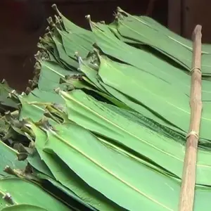 Daun bambu kering seluruhnya daun bambu abu-abu kering dari Vietnam dengan harga murah/Mr. Neal