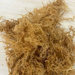 Mousse de mer Wildcrafted Gold Seamoss Eucheuma Cottonii Mousse d'Irlande séchée Vegan Superfood Fournisseur du Vietnam - Product Image 2