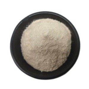 Probióticos Lactobacillus Crispatus Fabricados en India, 10-100 BN CFU/g, Polvo a Granel para la Industria de Nutrición y Alimentación Animal, en Venta - Product Image 4