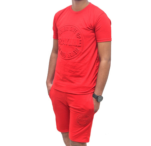 T-shirt pour homme GRAYLINE, logo rouge en relief, manches courtes, col rond, t-shirt décontracté en tricot avec motif sur le devant - Product Image 1